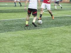 胡尔克成就,辉煌,球里程碑,韦德体育平台,韦德体育官方网站,韦德体育登录入口,韦德体育app下载