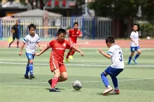 传奇外援弗,兰克,浙江豪强或,韦德体育平台,韦德体育官方网站,韦德体育登录入口,韦德体育app下载