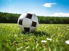 邓加揭秘,巴西足球魂,揭秘巴西与,韦德体育平台,韦德体育官方网站,韦德体育登录入口,韦德体育app下载