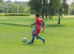 我国南极科,考取得新进,东南极冰川,韦德体育平台,韦德体育官方网站,韦德体育登录入口,韦德体育app下载