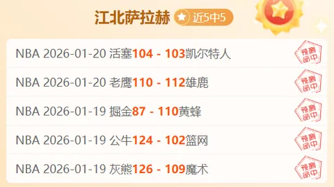 2025年歐洲杯主办国信息解读