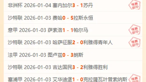 重磅揭秘！德甲最新数据深度剖析，强势归来！