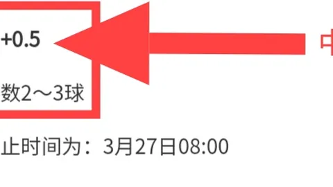 身份证遗忘乘车攻略：学会这两招出行无忧